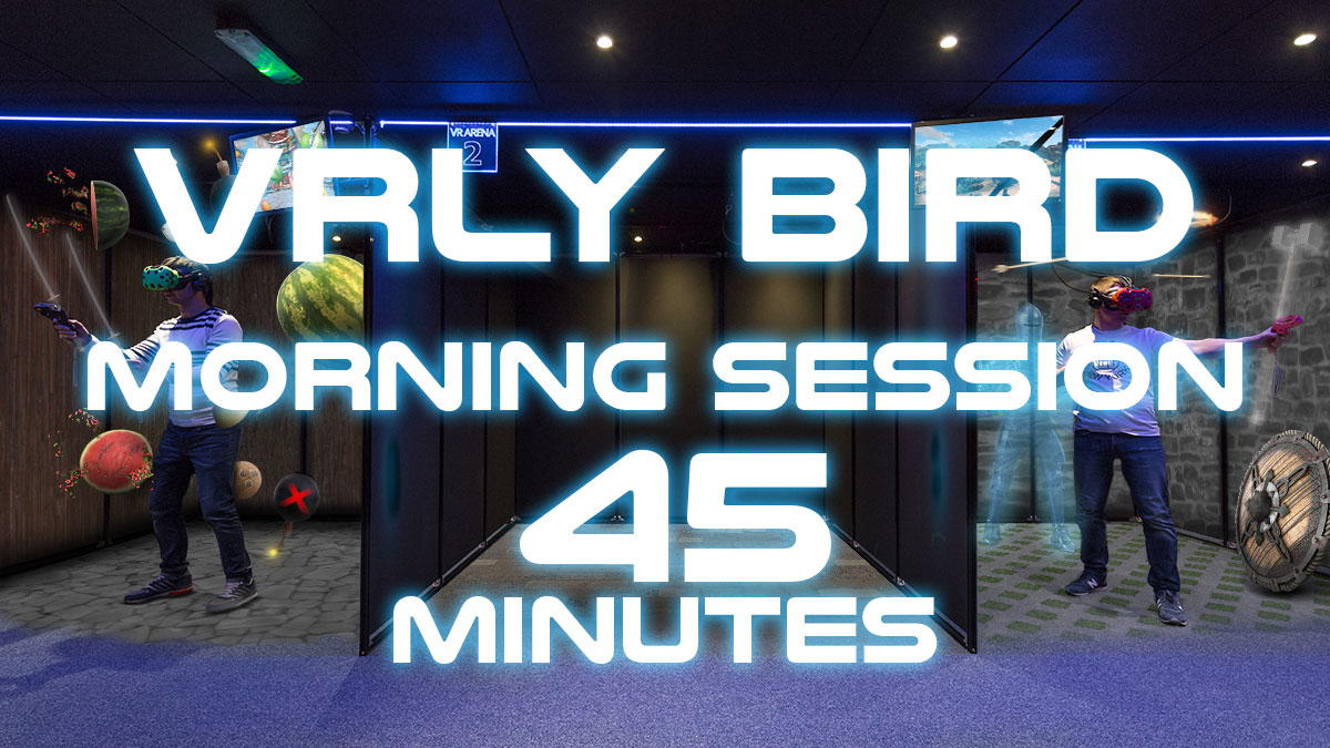 VRly Bird - VR Arena - 45 minutes