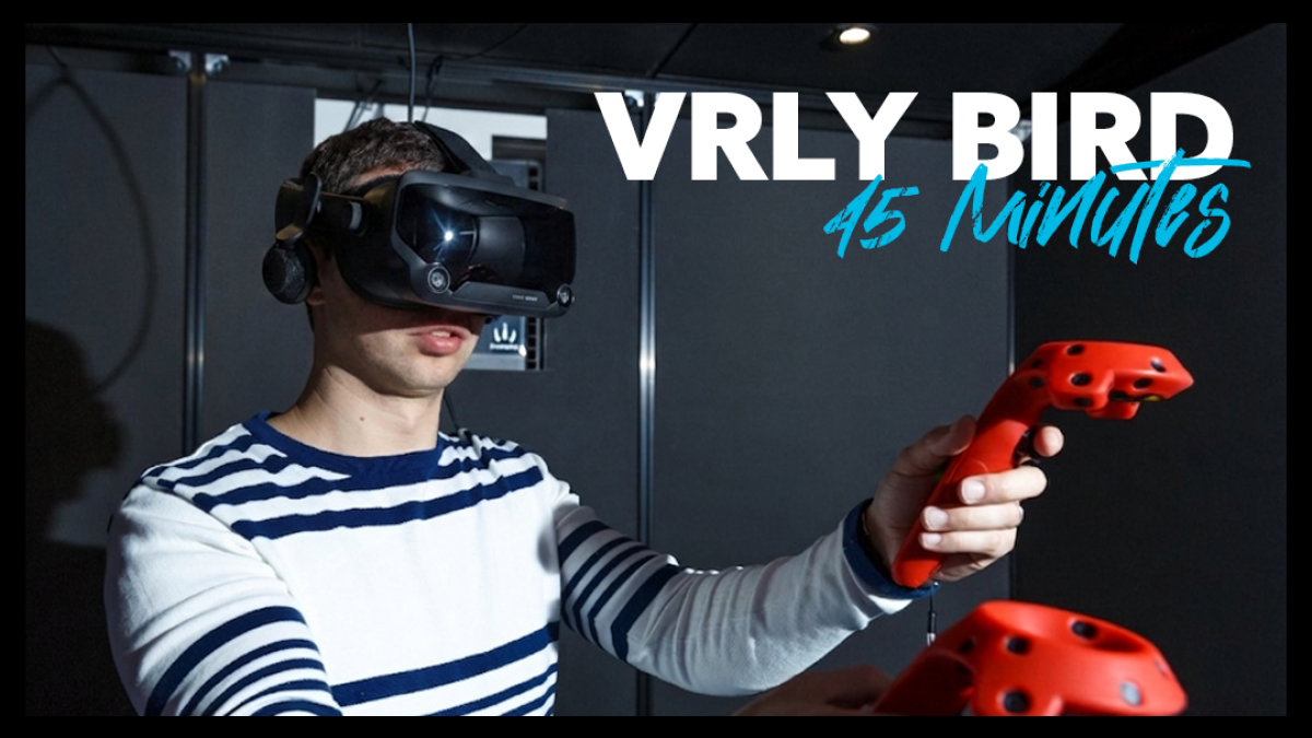Vr Bird VRly Bird - VR Arena - 45 minutes | Vertigo VR